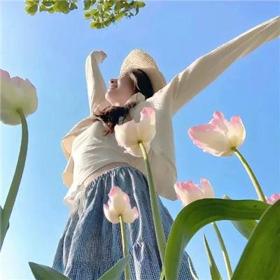 彩叶草之梦